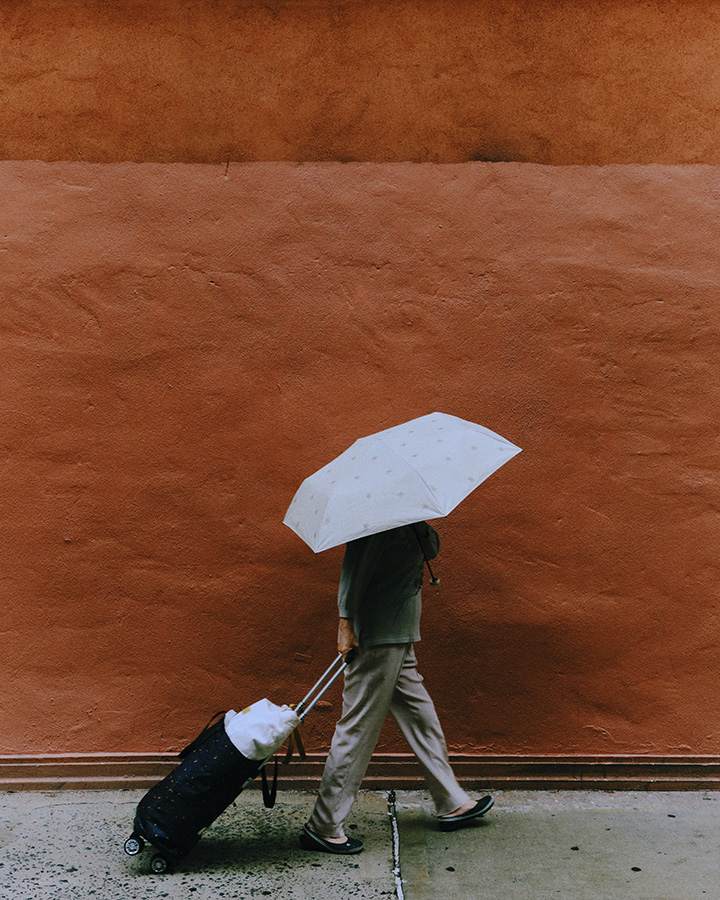 GRACE CONTINENTAL Daily NEW GLAMOROUS WINTER 2024