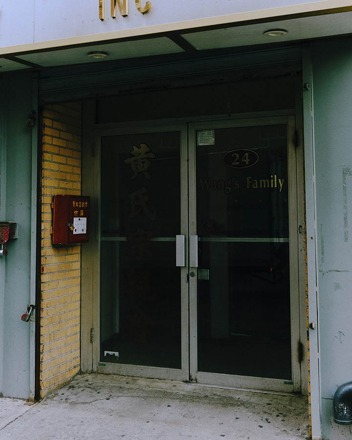 GRACE CONTINENTAL Daily NEW GLAMOROUS WINTER 2024