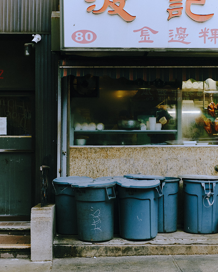 GRACE CONTINENTAL Daily NEW GLAMOROUS WINTER 2024