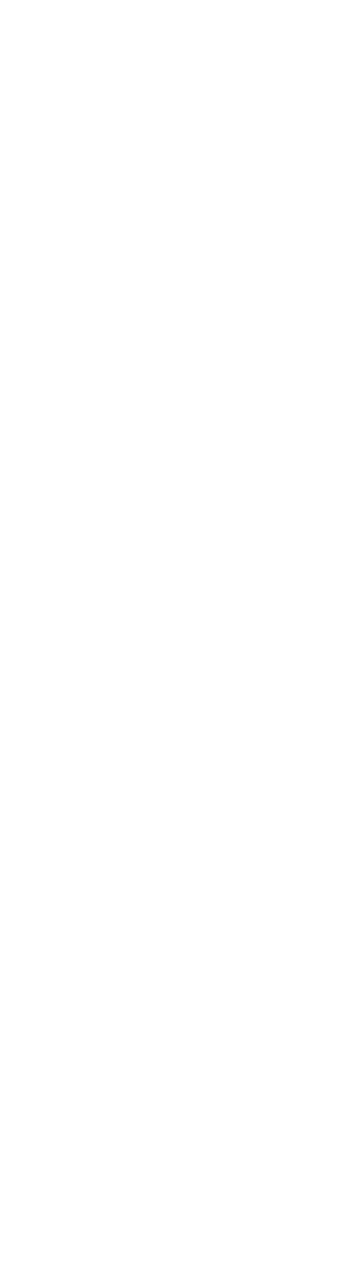 Bijou logo