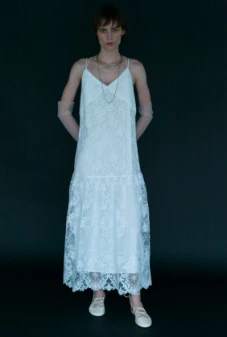 Lace Embroidery Dress