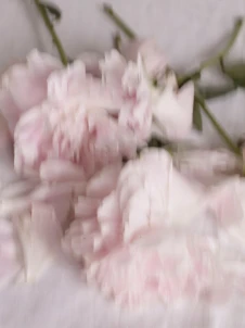 My Beautiful Things